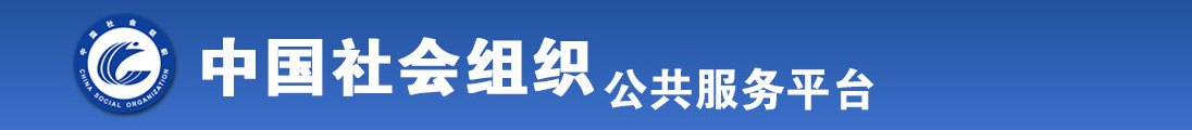 干女人B片在线全国社会组织信息查询